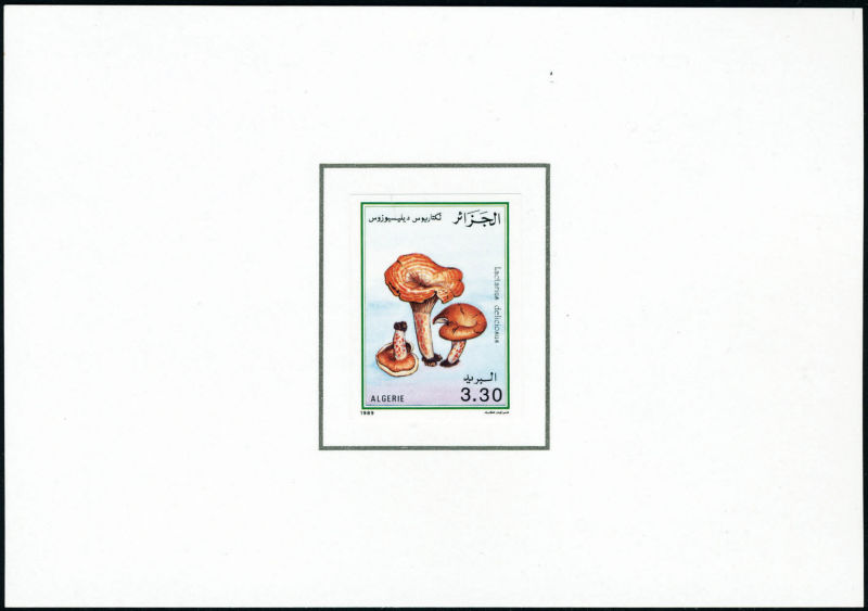 Lot 1683 - MONACO, FRENCH COLONIES A-Z INCLUDING RARITIES fezzan - Francois Feldman F.C.N.P François FELDMAN sale #135 Lot 1683 - MONACO, FRENCH COLONIES A-Z INCLUDING RARITIES fezzan - Francois Feldman F.C.N.P François FELDMAN sale #135
